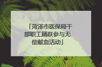 菏泽市医保局干部职工踊跃参与无偿献血活动