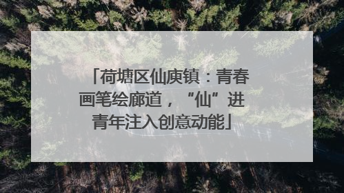 荷塘区仙庾镇：青春画笔绘廊道，“仙”进青年注入创意动能