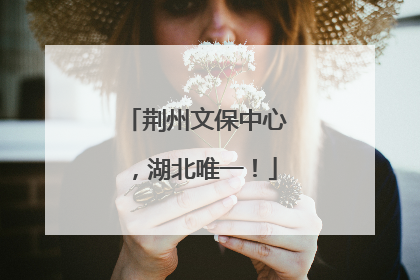 荆州文保中心，湖北唯一！