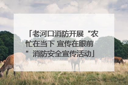 老河口消防开展“农忙在当下 宣传在眼前”消防安全宣传活动