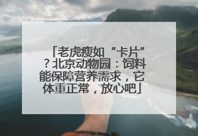 老虎瘦如“卡片”？北京动物园：饲料能保障营养需求，它体重正常，放心吧