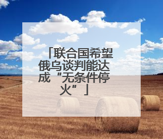 联合国希望俄乌谈判能达成“无条件停火”