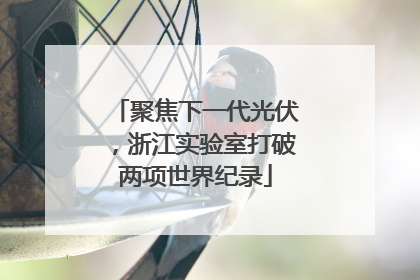 聚焦下一代光伏，浙江实验室打破两项世界纪录