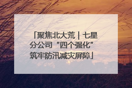 聚焦北大荒｜七星分公司“四个强化”筑牢防汛减灾屏障