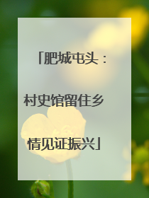 肥城屯头：村史馆留住乡情见证振兴