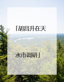 胡昌升在天水市调研