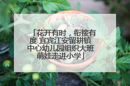 花开有时，衔接有度 宜宾江安留耕镇中心幼儿园组织大班萌娃走进小学