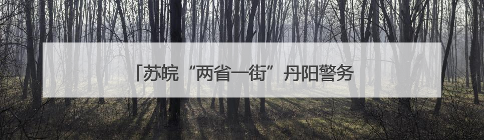 苏皖“两省一街”丹阳警务室：进一扇门 办两省事