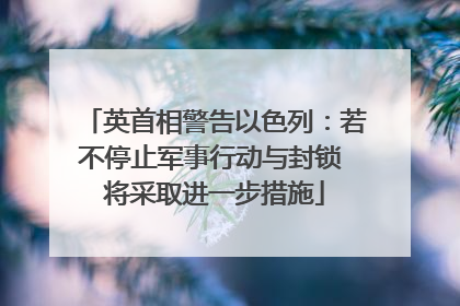 英首相警告以色列：若不停止军事行动与封锁 将采取进一步措施
