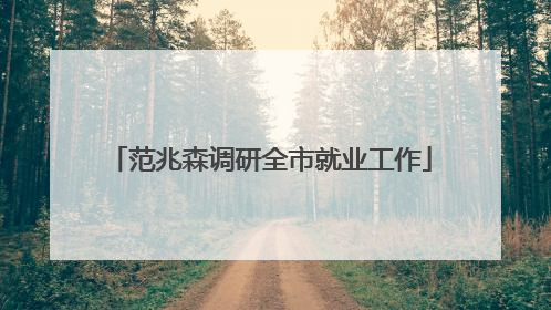 范兆森调研全市就业工作