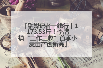 融媒记者一线行丨1173.53斤！李鹊镇“三作三收”首季小麦亩产创新高