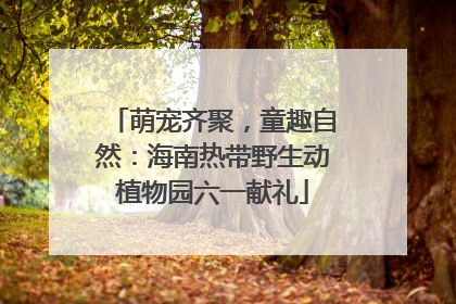 萌宠齐聚，童趣自然：海南热带野生动植物园六一献礼