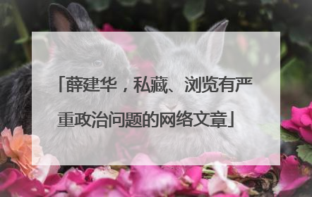 薛建华，私藏、浏览有严重政治问题的网络文章