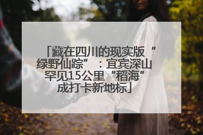 藏在四川的现实版“绿野仙踪”：宜宾深山罕见15公里“稻海”成打卡新地标