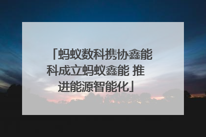 蚂蚁数科携协鑫能科成立蚂蚁鑫能 推进能源智能化