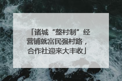 诸城“整村制”经营铺就富民强村路，合作社迎来大丰收