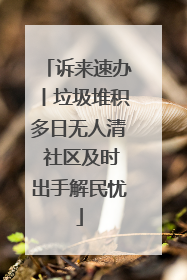诉来速办丨垃圾堆积多日无人清 社区及时出手解民忧