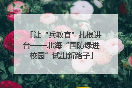 让“兵教官”扎根讲台——北海“国防绿进校园”试出新路子