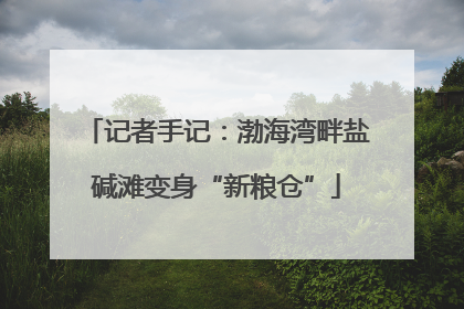 记者手记：渤海湾畔盐碱滩变身“新粮仓”
