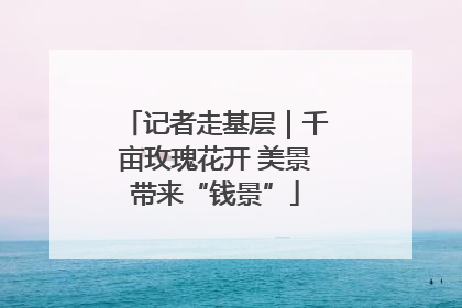 记者走基层｜千亩玫瑰花开 美景带来“钱景”