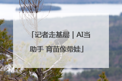 记者走基层｜AI当助手 育苗像带娃