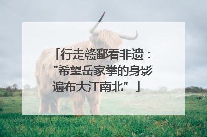 行走赣鄱看非遗：“希望岳家拳的身影遍布大江南北”