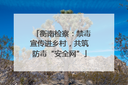 衡南检察：禁毒宣传进乡村，共筑防毒“安全网”