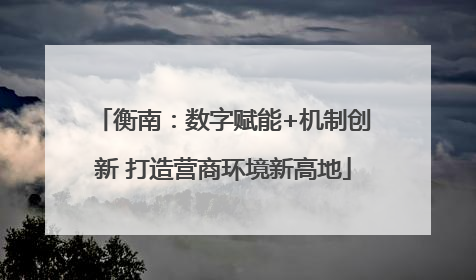衡南：数字赋能+机制创新 打造营商环境新高地