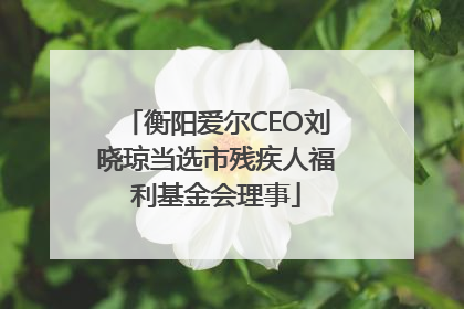 衡阳爱尔CEO刘晓琼当选市残疾人福利基金会理事