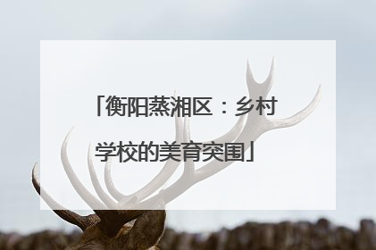 衡阳蒸湘区：乡村学校的美育突围
