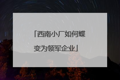 西南小厂如何蝶变为领军企业