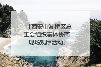 西安市灞桥区总工会组织集体协商现场观摩活动
