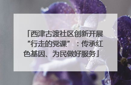 西津古渡社区创新开展“行走的党课”：传承红色基因、为民做好服务