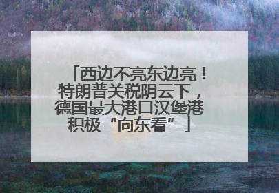 西边不亮东边亮！特朗普关税阴云下，德国最大港口汉堡港积极“向东看”