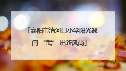 襄阳市清河口小学阳光课间 “武” 出新风尚