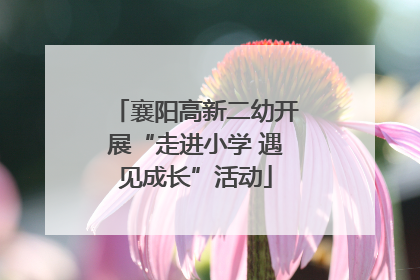 襄阳高新二幼开展“走进小学 遇见成长”活动