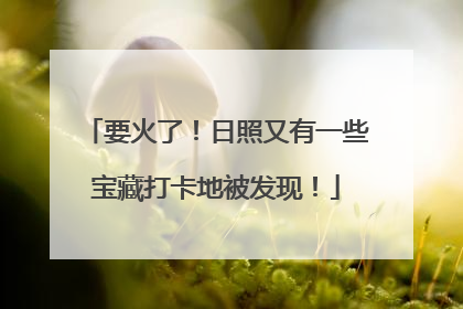 要火了！日照又有一些宝藏打卡地被发现！