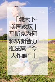 观天下·美国政坛｜马斯克为何称特朗普力推法案“令人作呕”