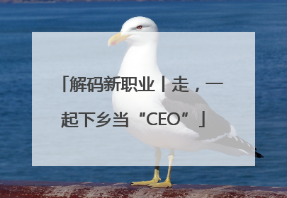 解码新职业丨走，一起下乡当“CEO”