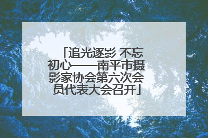 追光逐影 不忘初心——南平市摄影家协会第六次会员代表大会召开