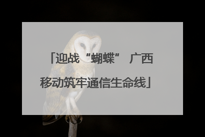 迎战“蝴蝶” 广西移动筑牢通信生命线