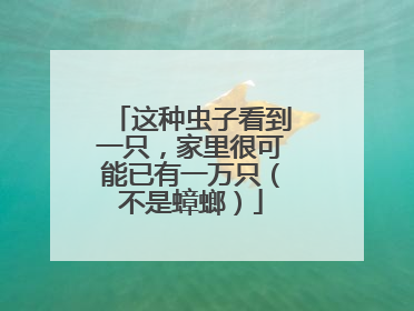 这种虫子看到一只，家里很可能已有一万只（不是蟑螂）