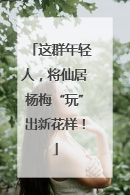 这群年轻人，将仙居杨梅“玩”出新花样！