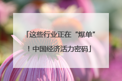 这些行业正在“爆单”！中国经济活力密码