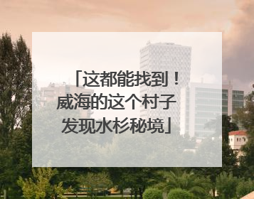 这都能找到！威海的这个村子发现水杉秘境