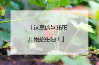 这里的暑托班开始招生啦！