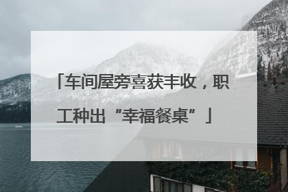 车间屋旁喜获丰收，职工种出“幸福餐桌”