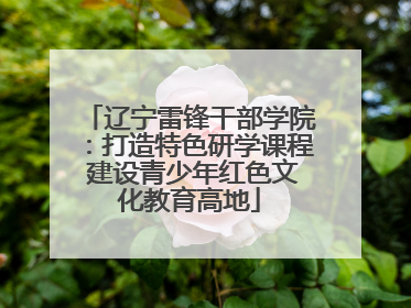 辽宁雷锋干部学院：打造特色研学课程 建设青少年红色文化教育高地
