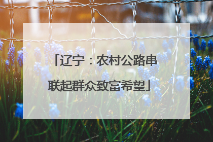 辽宁：农村公路串联起群众致富希望