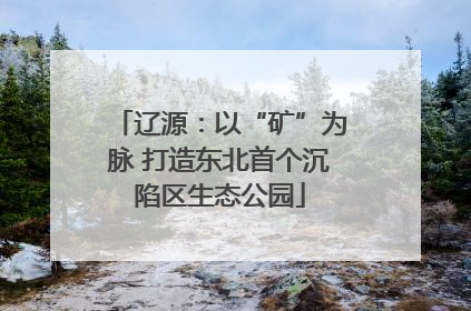 辽源：以“矿”为脉 打造东北首个沉陷区生态公园